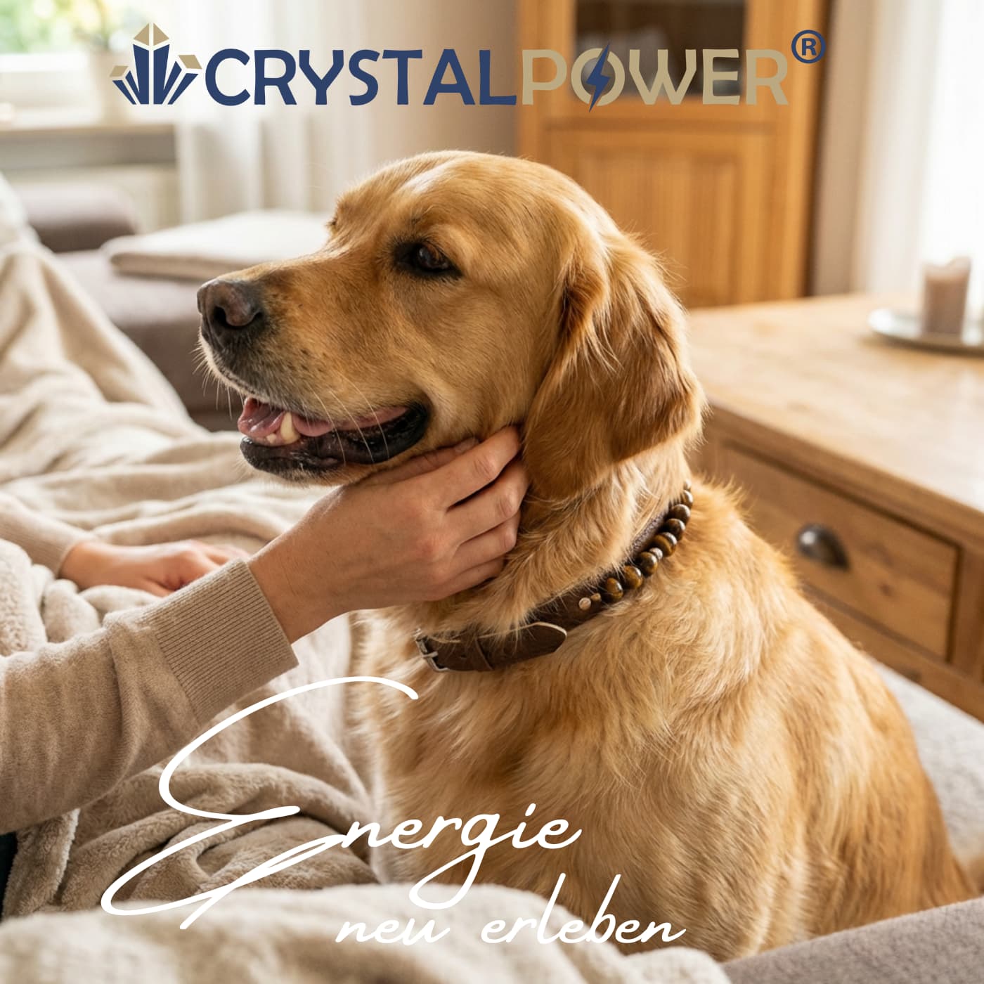 Hund mit Heilstein-Halsband – Heilsteine für Hunde als energetischer Begleiter
