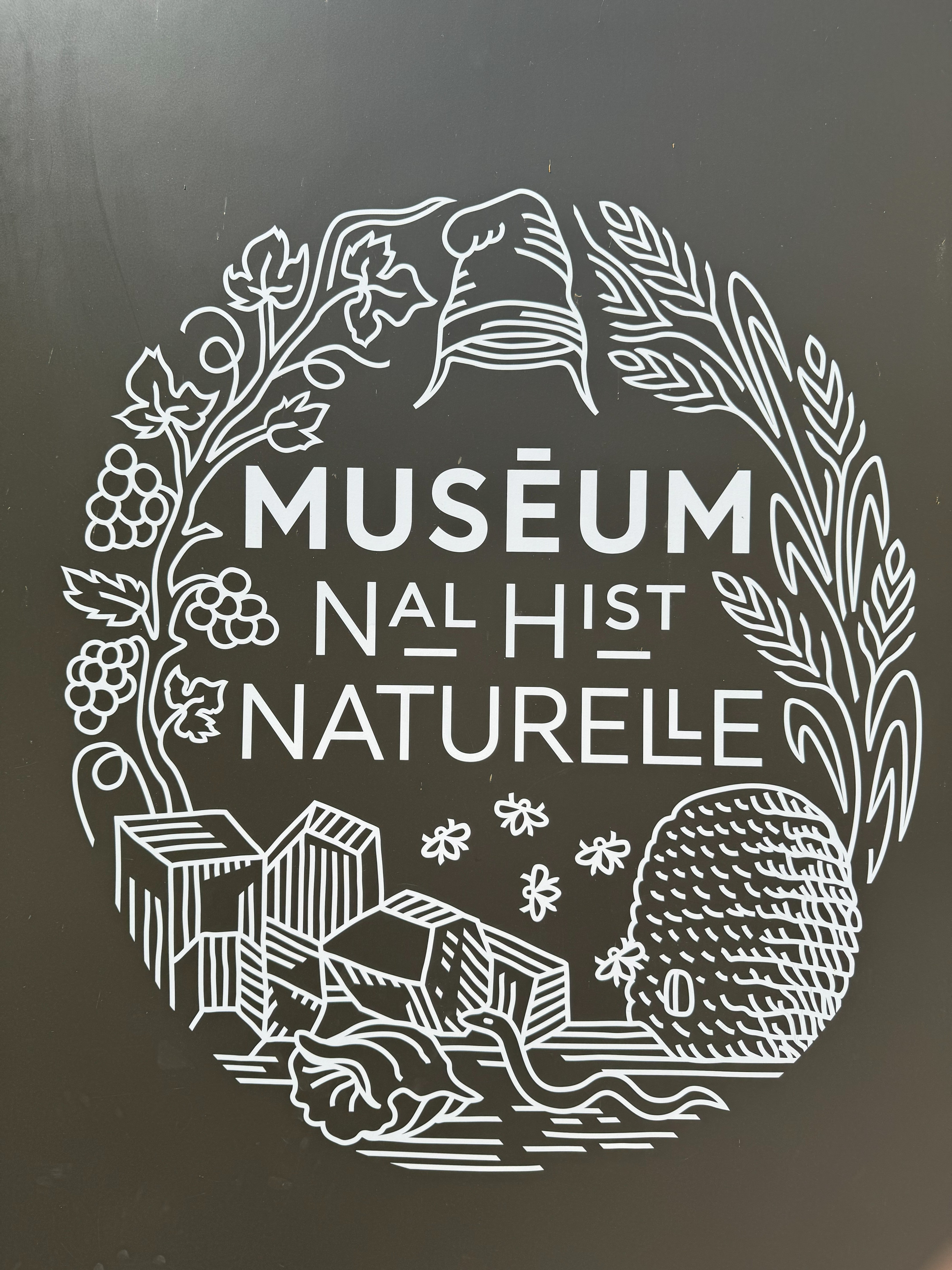 Prunkvolle Mineraliensammlung im Mineralien Museum Paris – farbige Kristalle und Gesteinsproben in historischen Vitrinen