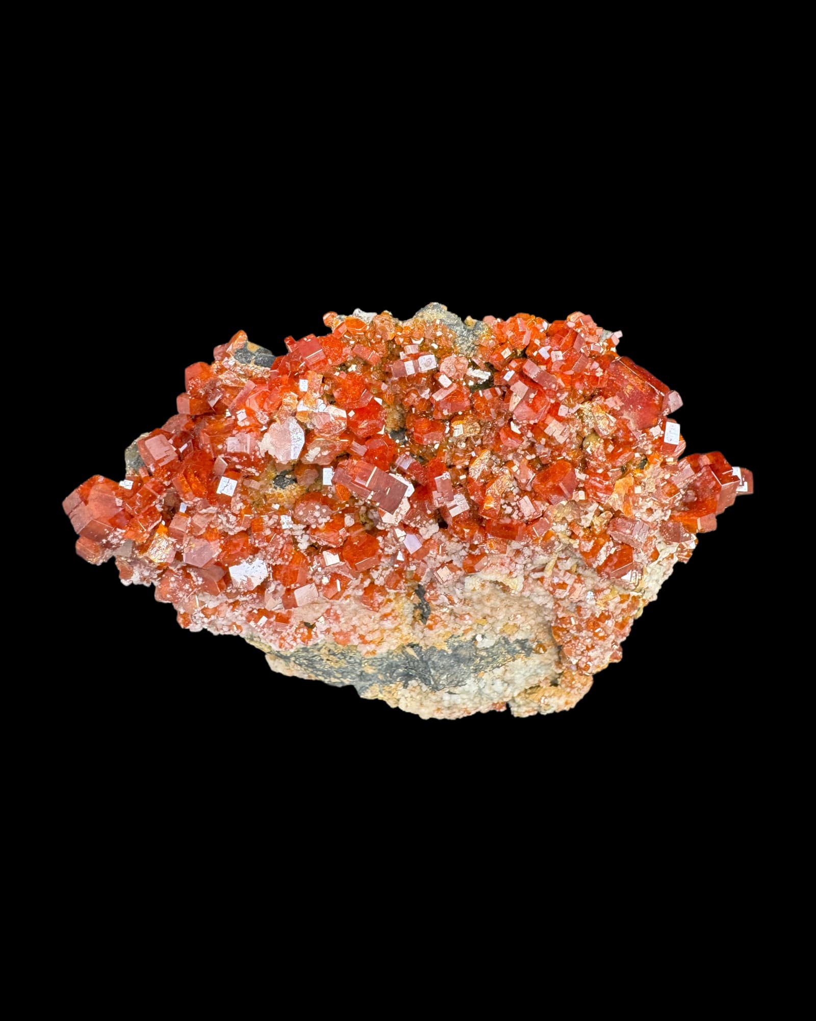 Vanadinit-Kristalle in leuchtendem Rot-Orange auf dunklem Gesteinsmatrix, hexagonale Prismen, Marokko