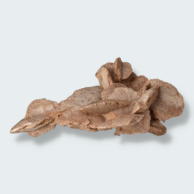 Sandrose kaufe aus Libyen