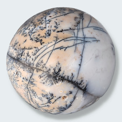 Dendrit Kaufen - Achat