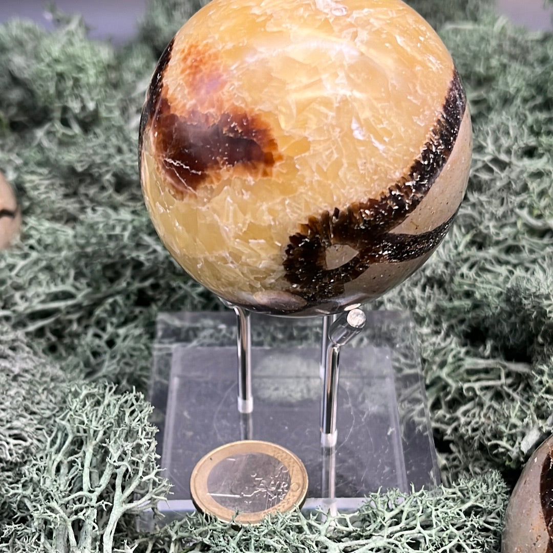 Septarie Kugeln - 1 Stück (~250g) - crystal paradise