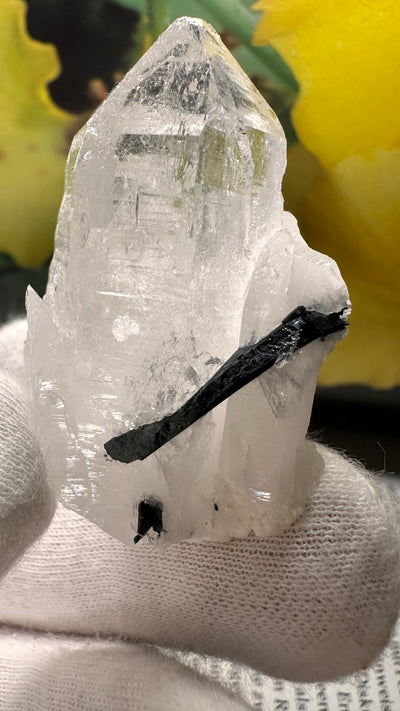 Schwarzer Schörl Turmalin an Himalaya Bergkristall (40g) - schöne Bergkristall Spitzen - crystal paradise