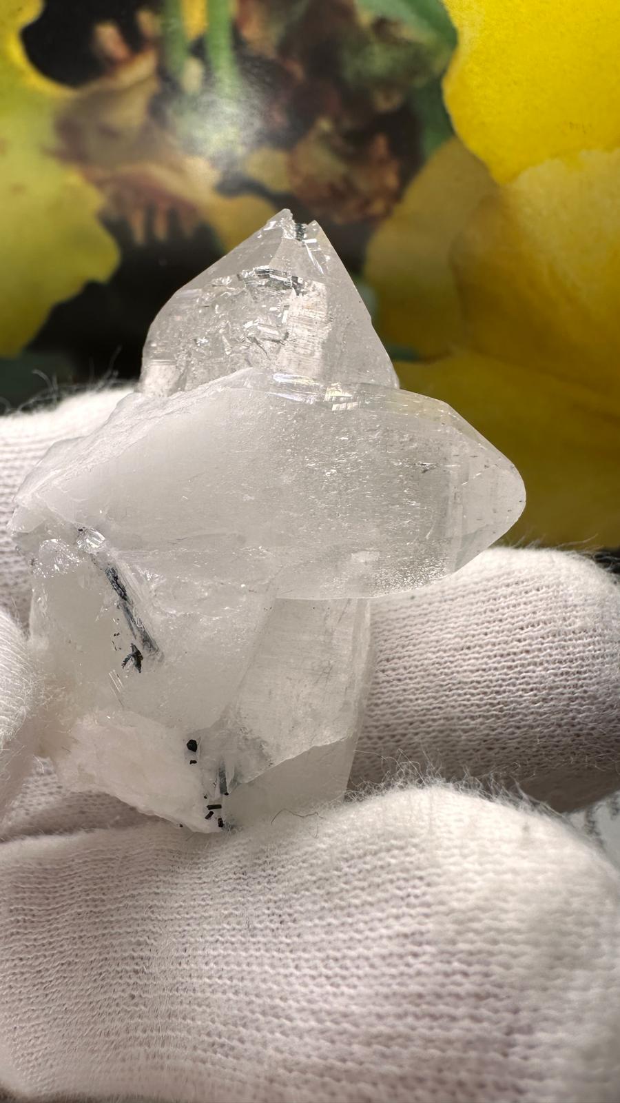 Schwarzer Schörl Turmalin an Himalaya Bergkristall (40g) - schöne Bergkristall Spitzen - crystal paradise