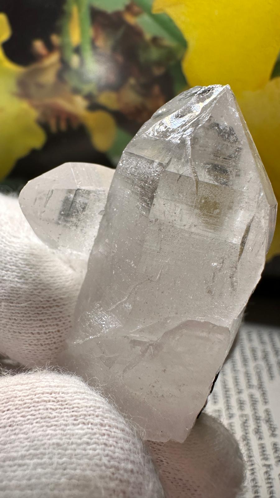Schwarzer Schörl Turmalin an Himalaya Bergkristall (40g) - schöne Bergkristall Spitzen - crystal paradise