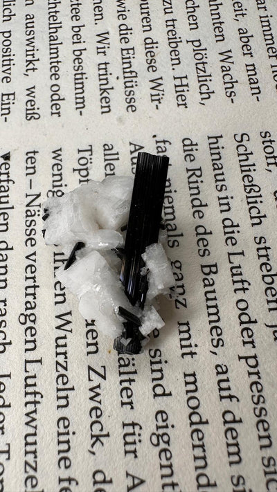 Schwarzer Schörl Turmalin an Himalaya Bergkristall (4g) - crystal paradise