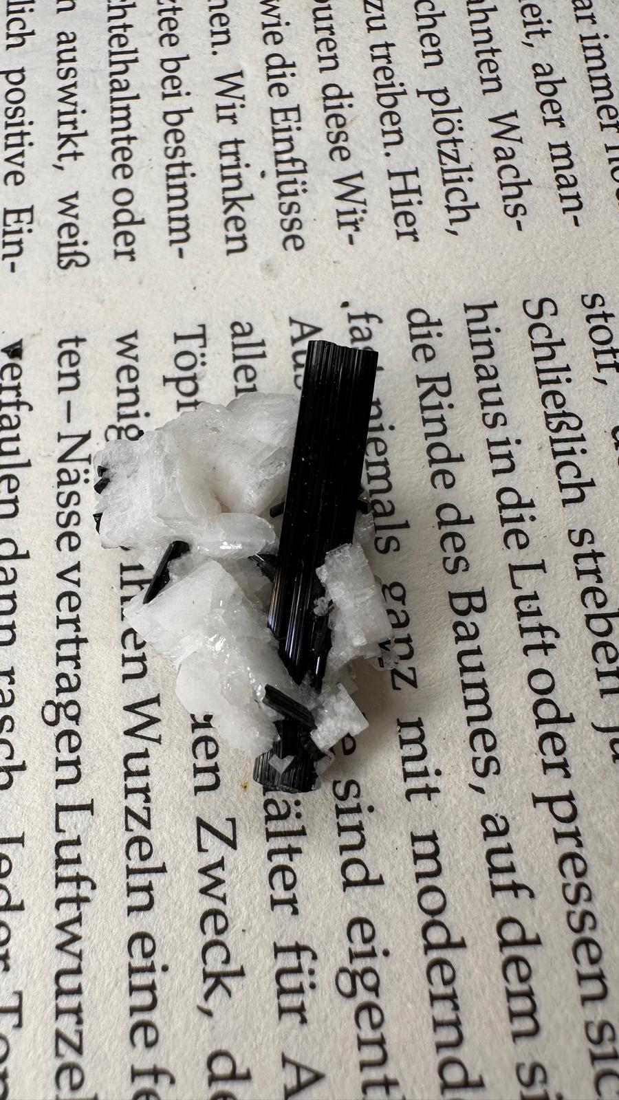 Schwarzer Schörl Turmalin an Himalaya Bergkristall (4g) - crystal paradise