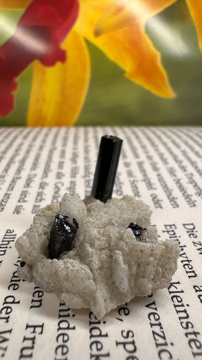 Schwarzer Schörl Turmalin an Himalaya Bergkristall (8g) - crystal paradise