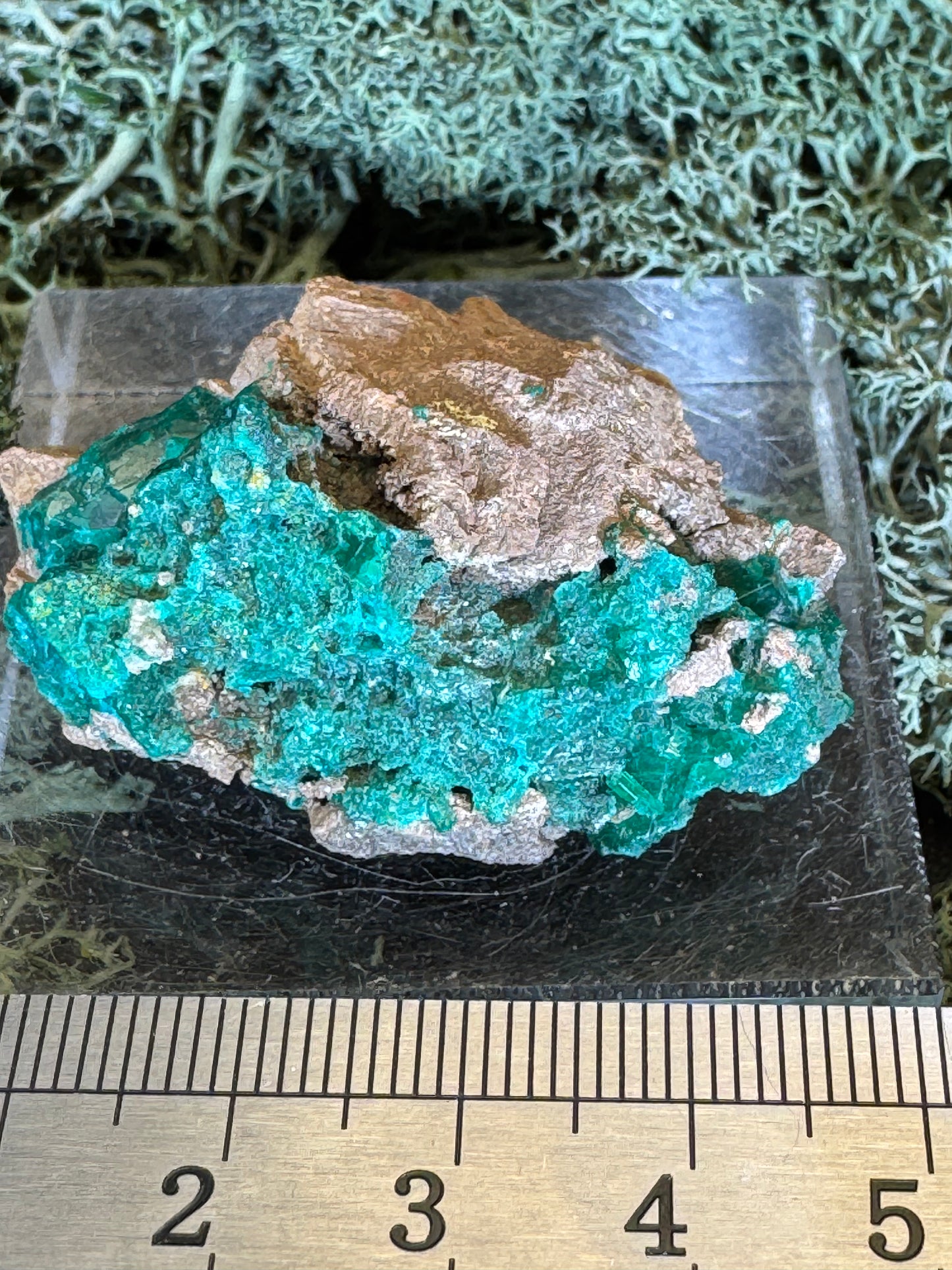 Dioptas aus Mindouli (26g) - exquisites smaragdgrün - crystal paradise