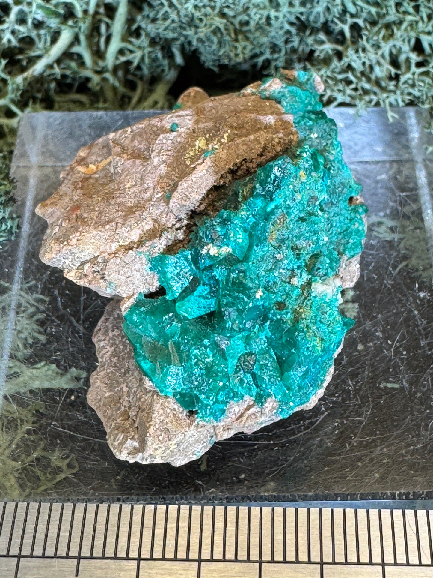 Dioptas aus Mindouli (26g) - exquisites smaragdgrün - crystal paradise