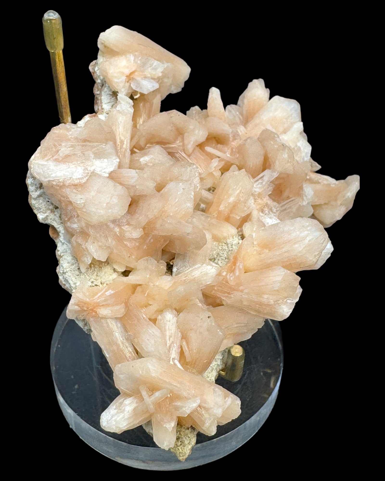 Stilbit Cluster Handstufe auf Zeolith aus Indien (164g) - viele grosse Kristalle - crystal paradise