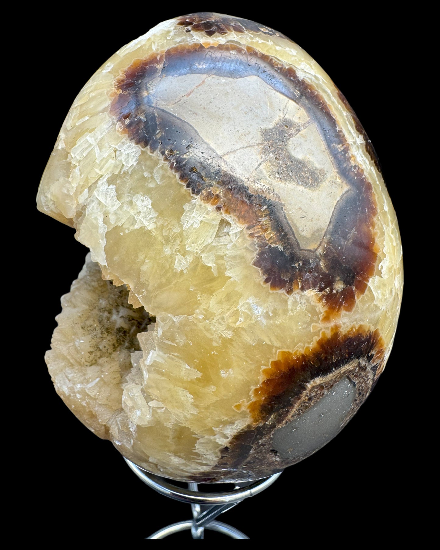 Septarie Ei (561g) - gross mit sehr schöne Druzys - crystal paradise