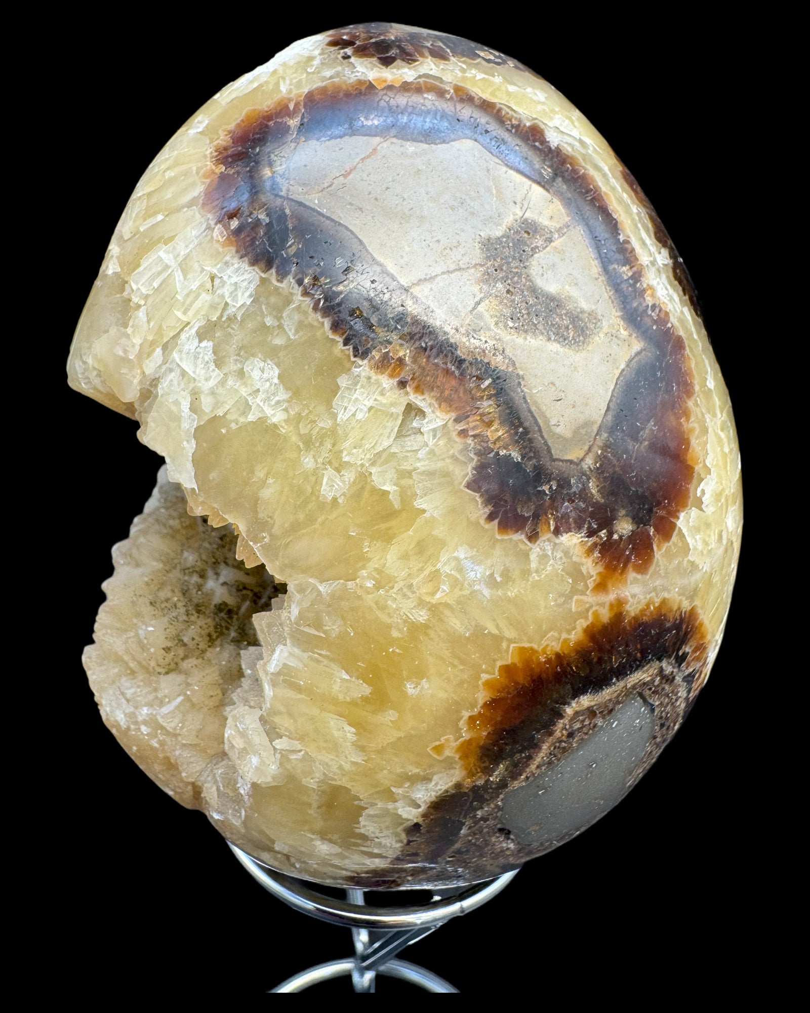 Septarie Ei (561g) - gross mit sehr schöne Druzys - crystal paradise