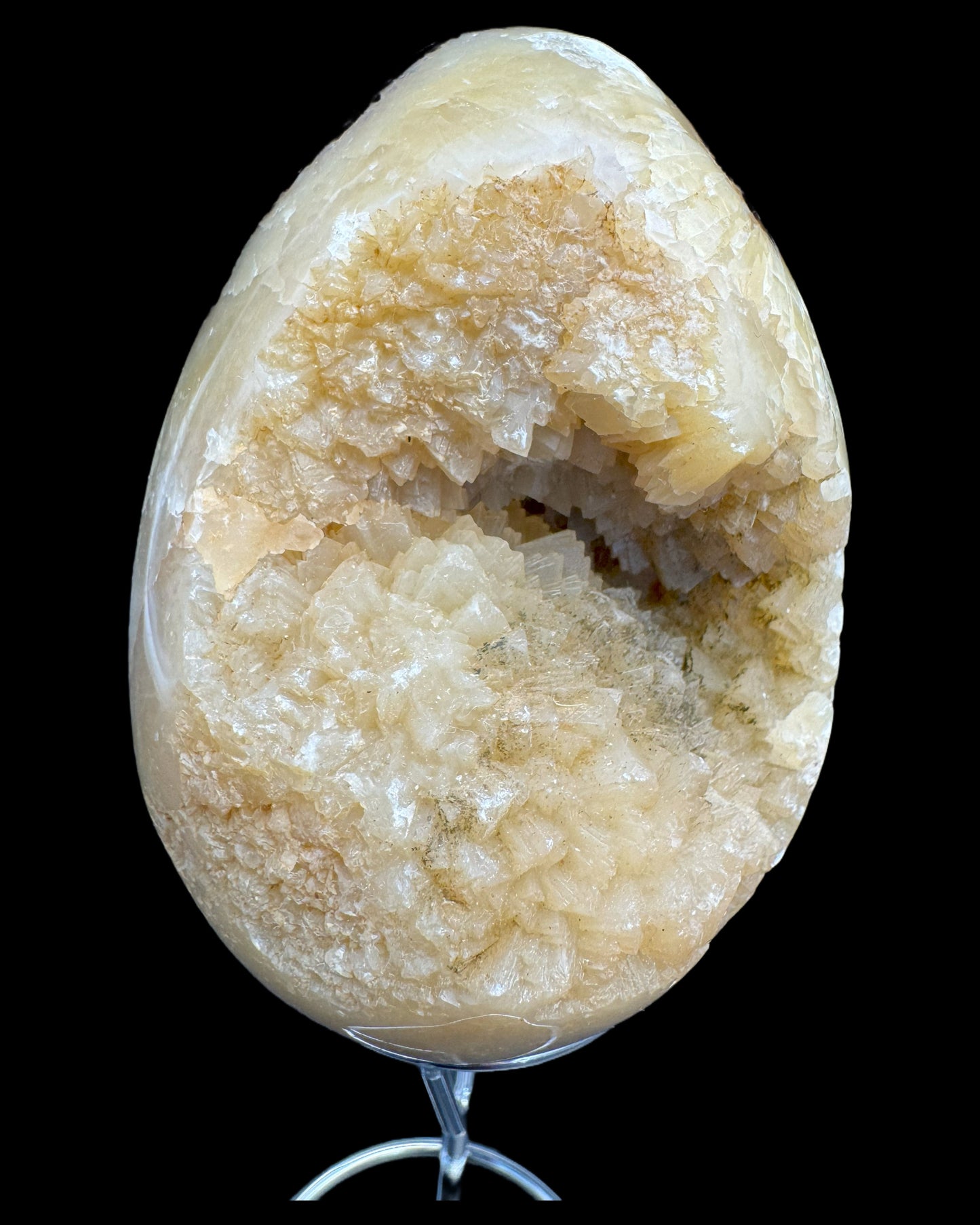 Septarie Ei (561g) - gross mit sehr schöne Druzys - crystal paradise