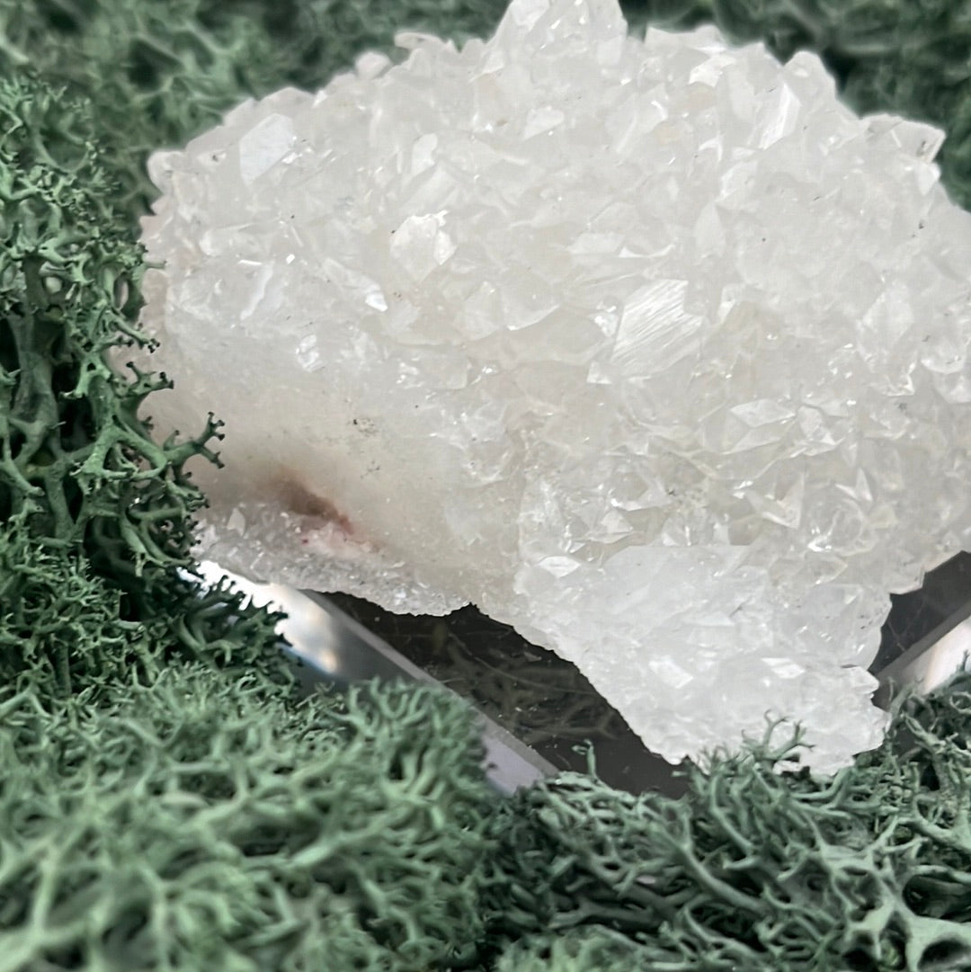 Apophyllit Stufe aus Indien (108g) - viele Kristalle in Igelform - crystal paradise
