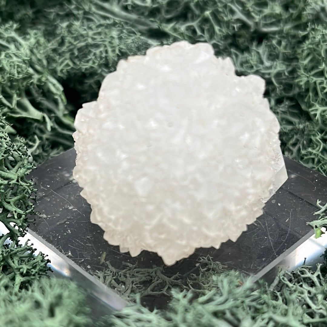 Apophyllit Stufe aus Indien (59g) - viele Kristalle in Igelform - crystal paradise