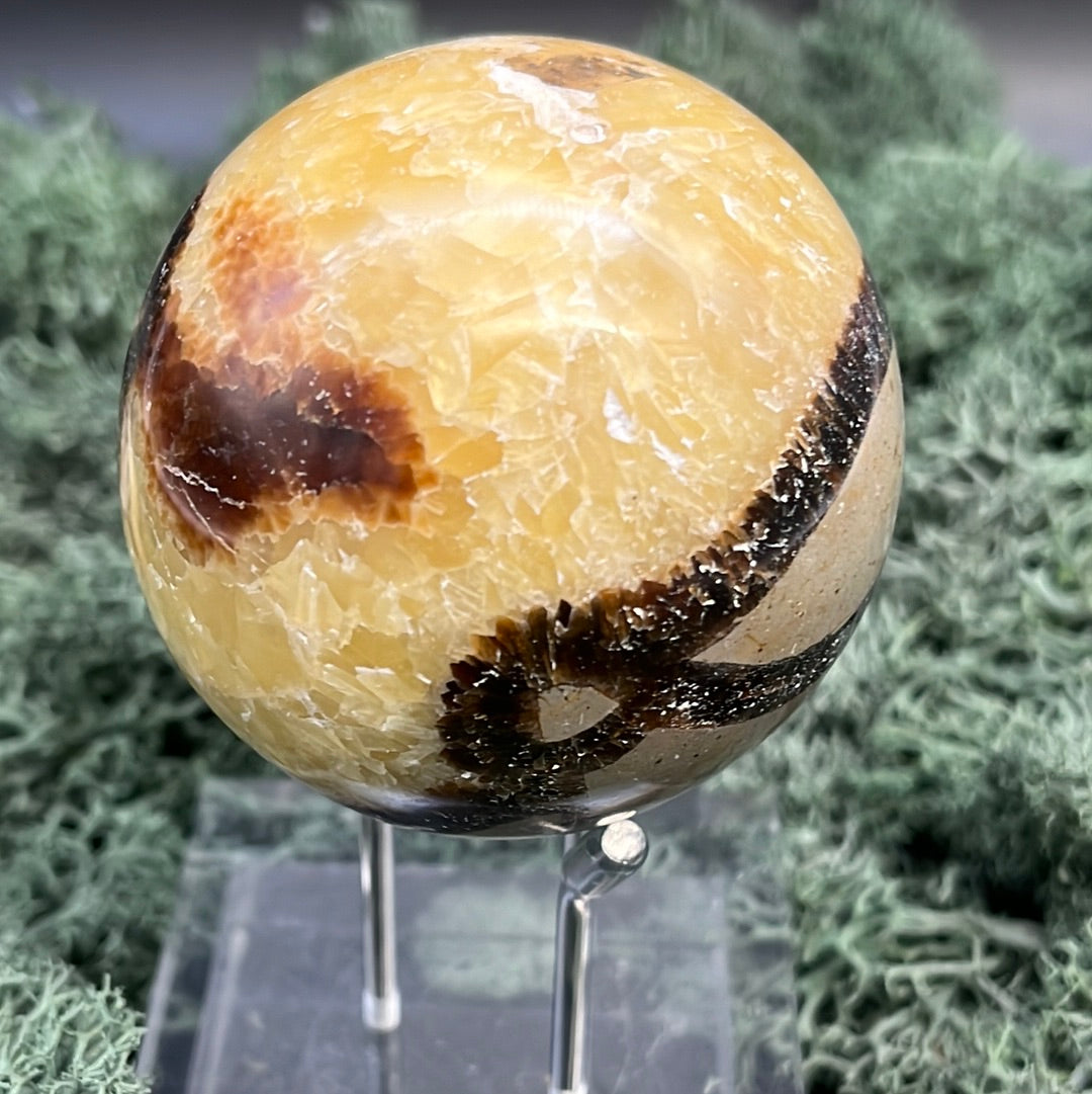 Septarie Kugeln - 1 Stück (~250g) - crystal paradise
