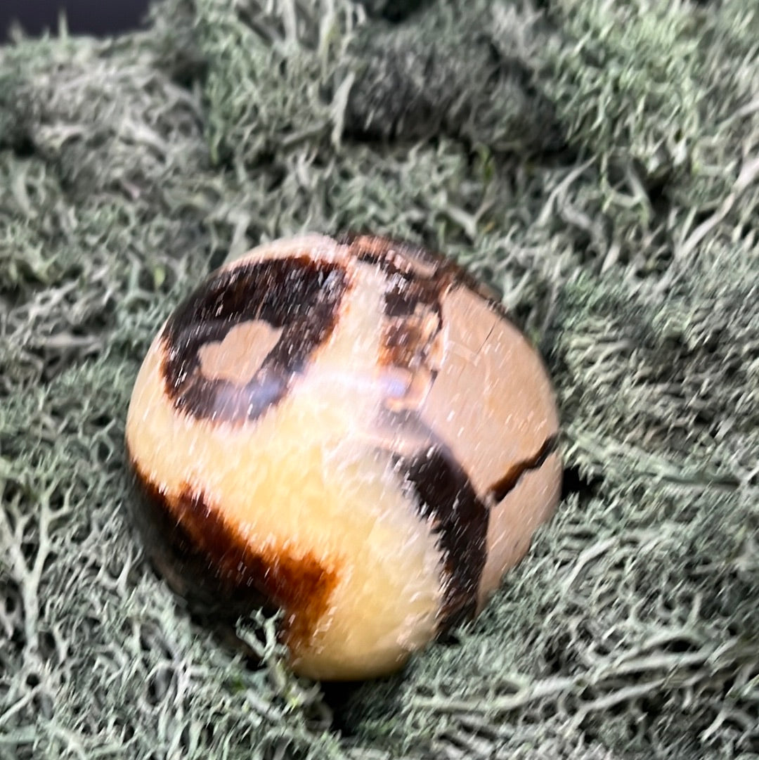 Septarie Kugeln - 1 Stück (~250g) - crystal paradise