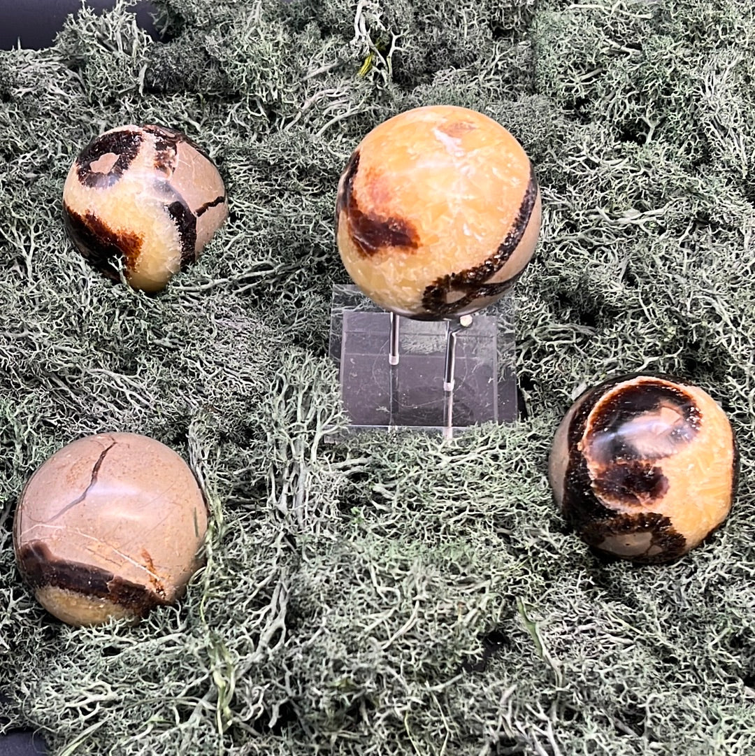 Septarie Kugeln - 1 Stück (~250g) - crystal paradise