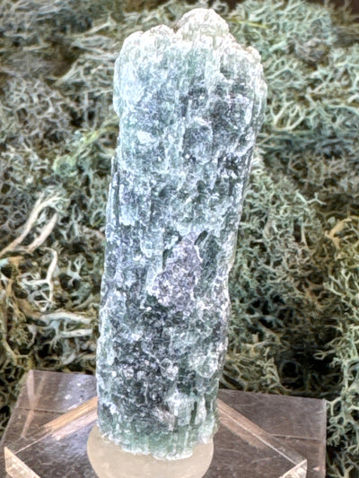 Grüner Kyanit aus Mosambique - 1 Stück - crystal paradise