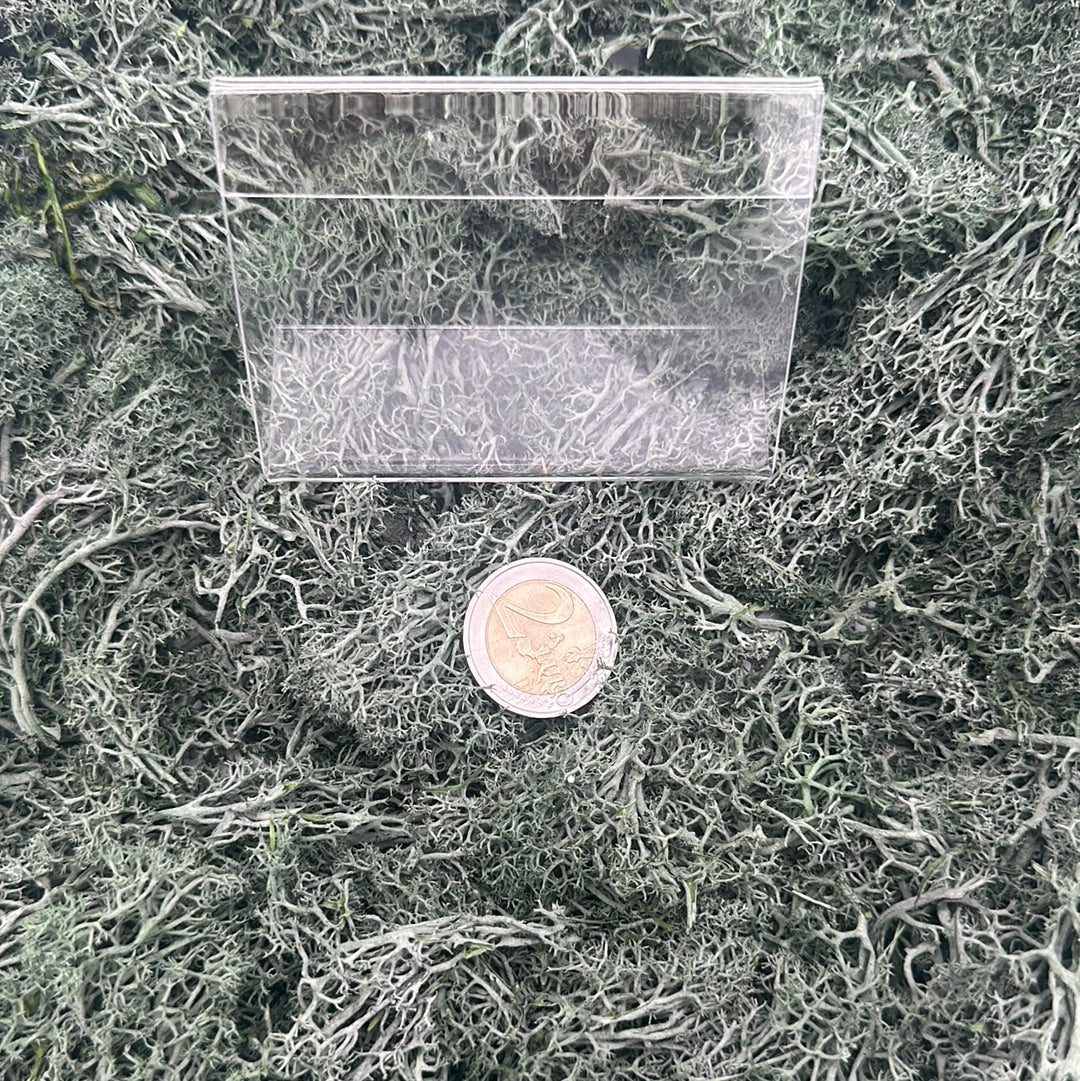 Klarer Acryl Rahmenständer (mittel) für Beschriftungen Vitrine - crystal paradise