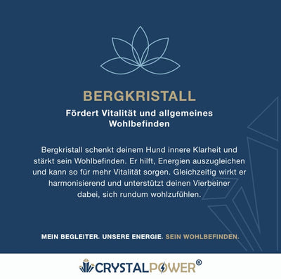 Bergkristall – fördert Vitalität und allgemeines Wohlbefinden - Hundehalsband crystalpower®
