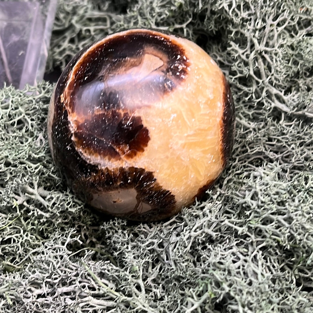 Septarie Kugeln - 1 Stück (~250g) - crystal paradise