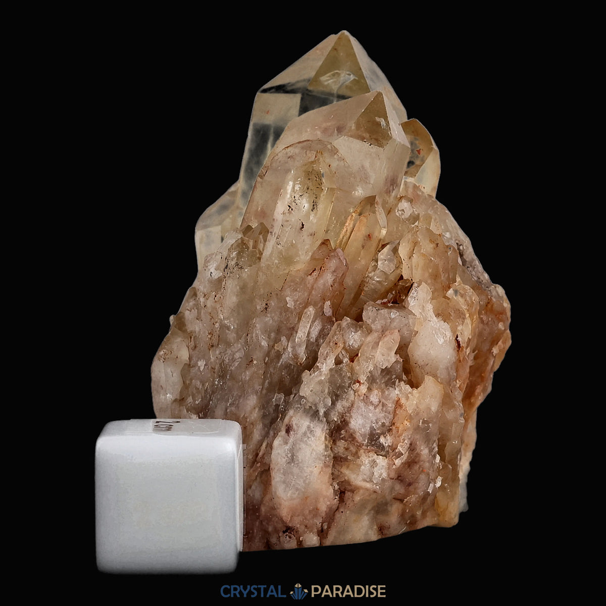 Citrin Stufe aus Kundalini, Kongo (235g) - unbehandelt