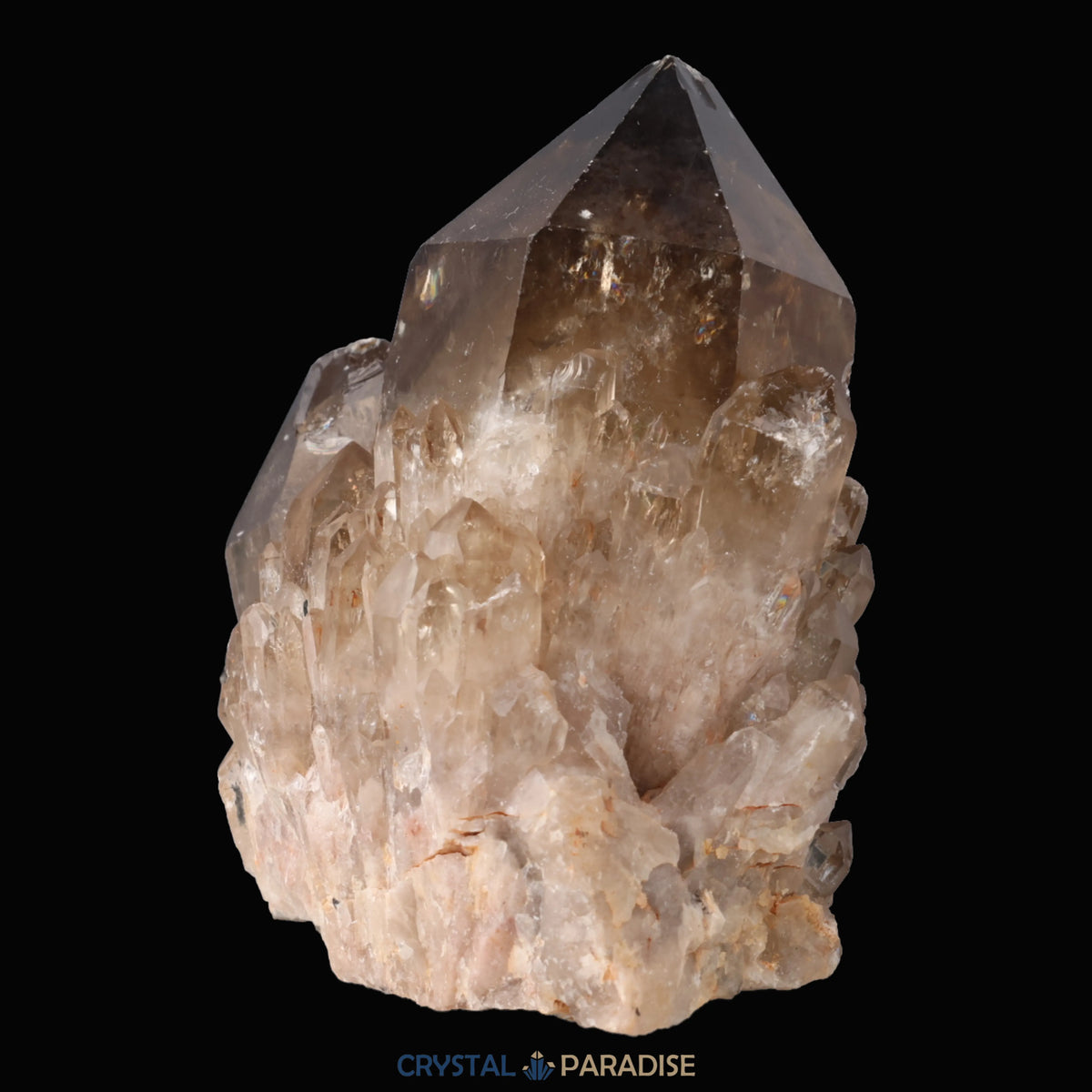 Citrin Stufe aus Kundalini, Kongo (334g) - unbehandelt