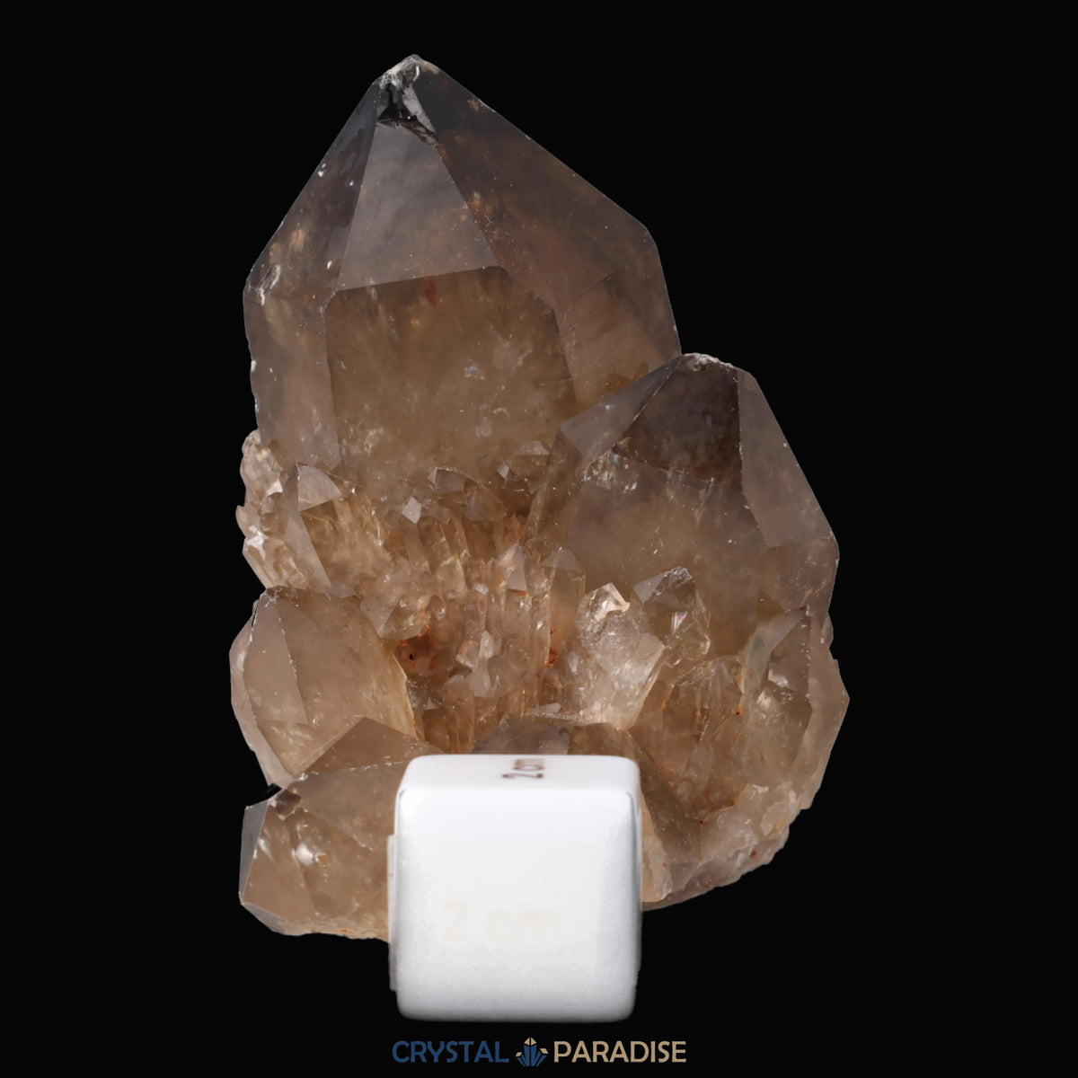 Citrin Stufe aus Kundalini, Kongo (334g) - unbehandelt