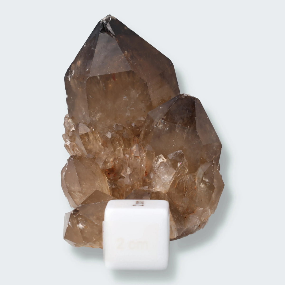 Citrin Stufe aus Kundalini, Kongo (334g) - unbehandelt