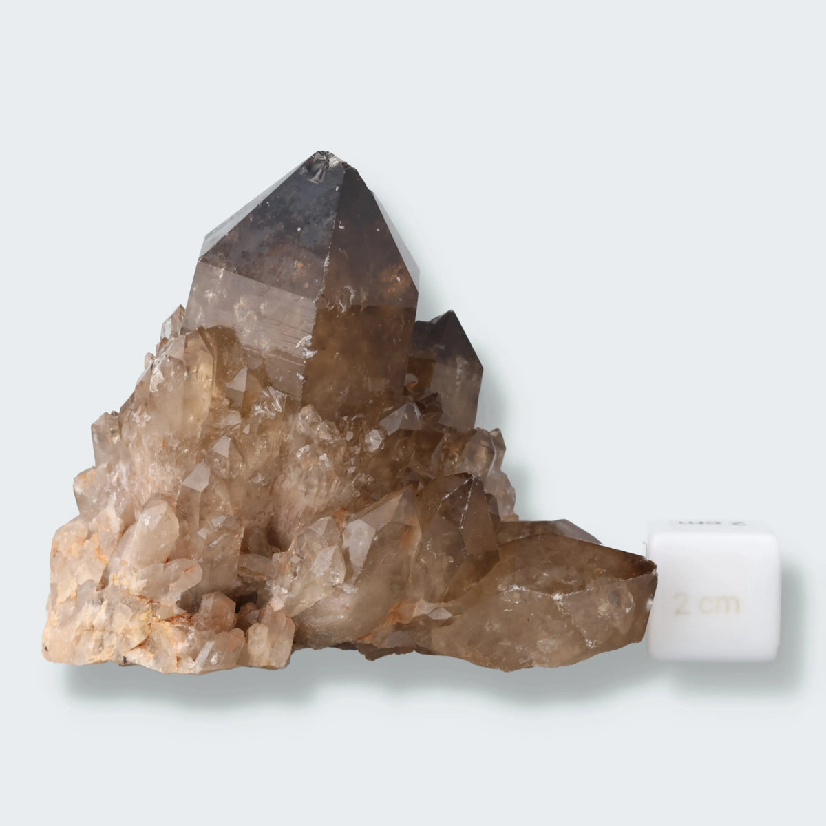 Citrin Stufe aus Kundalini, Kongo (334g) - unbehandelt