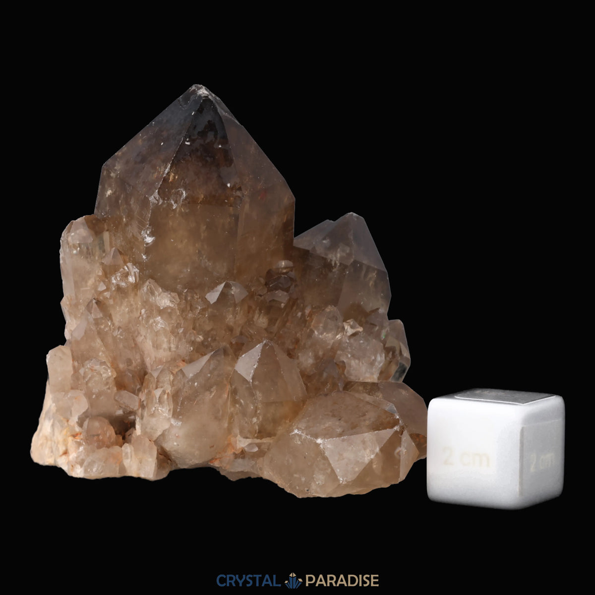 Citrin Stufe aus Kundalini, Kongo (334g) - unbehandelt