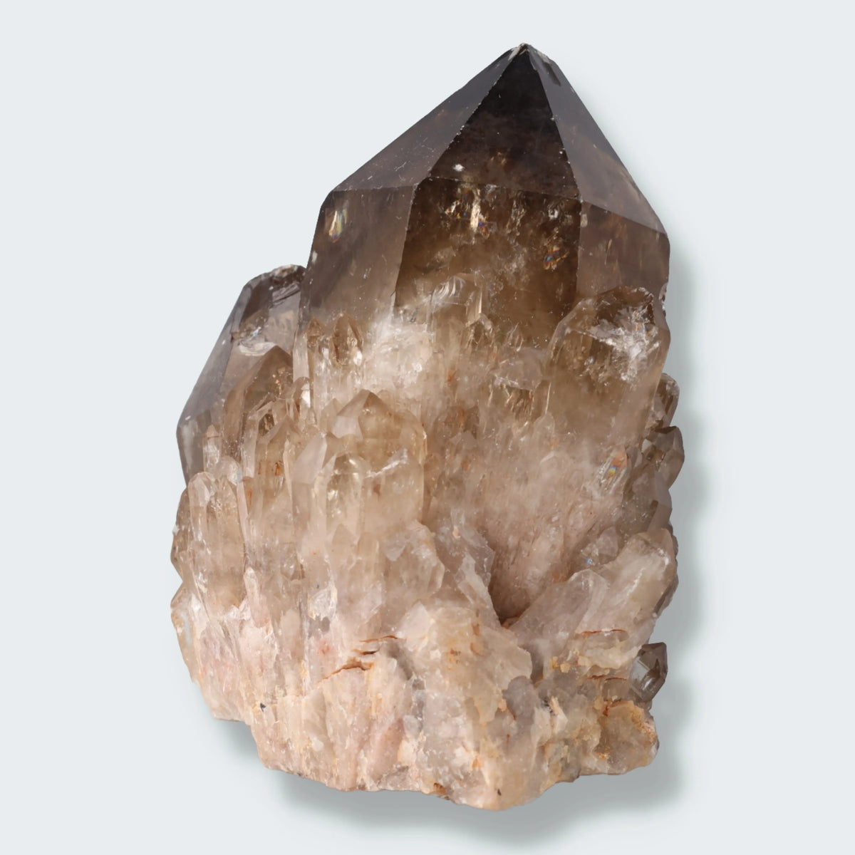 Citrin Stufe aus Kundalini, Kongo (334g) - unbehandelt