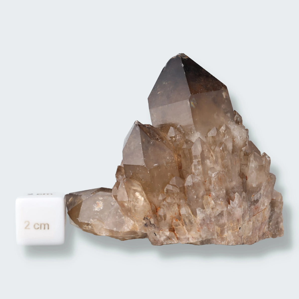 Citrin Stufe aus Kundalini, Kongo (334g) - unbehandelt