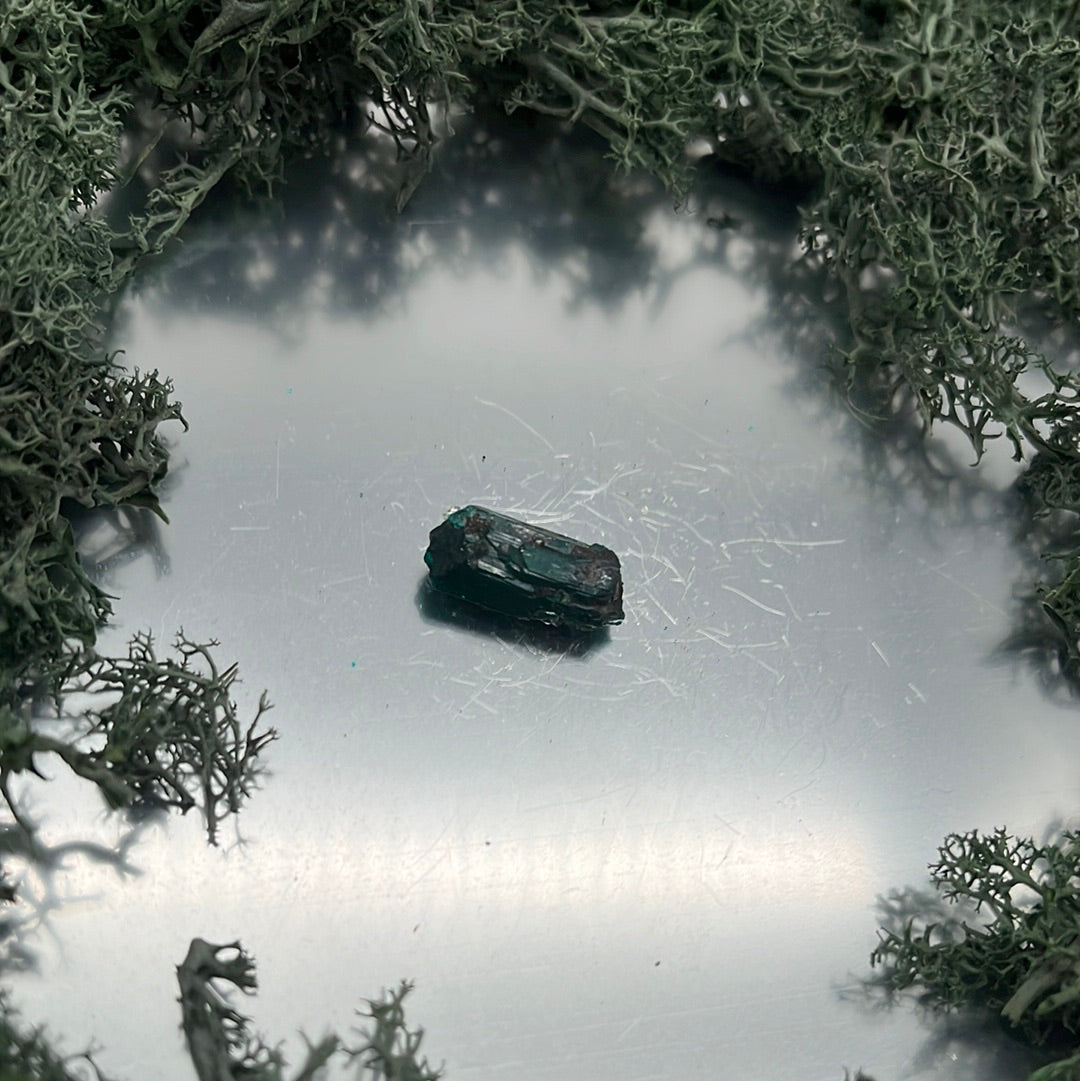 Dioptas Kristall ohne Muttergestein aus Mindouli (2g) - exquisites smaragdgrün - crystal paradise