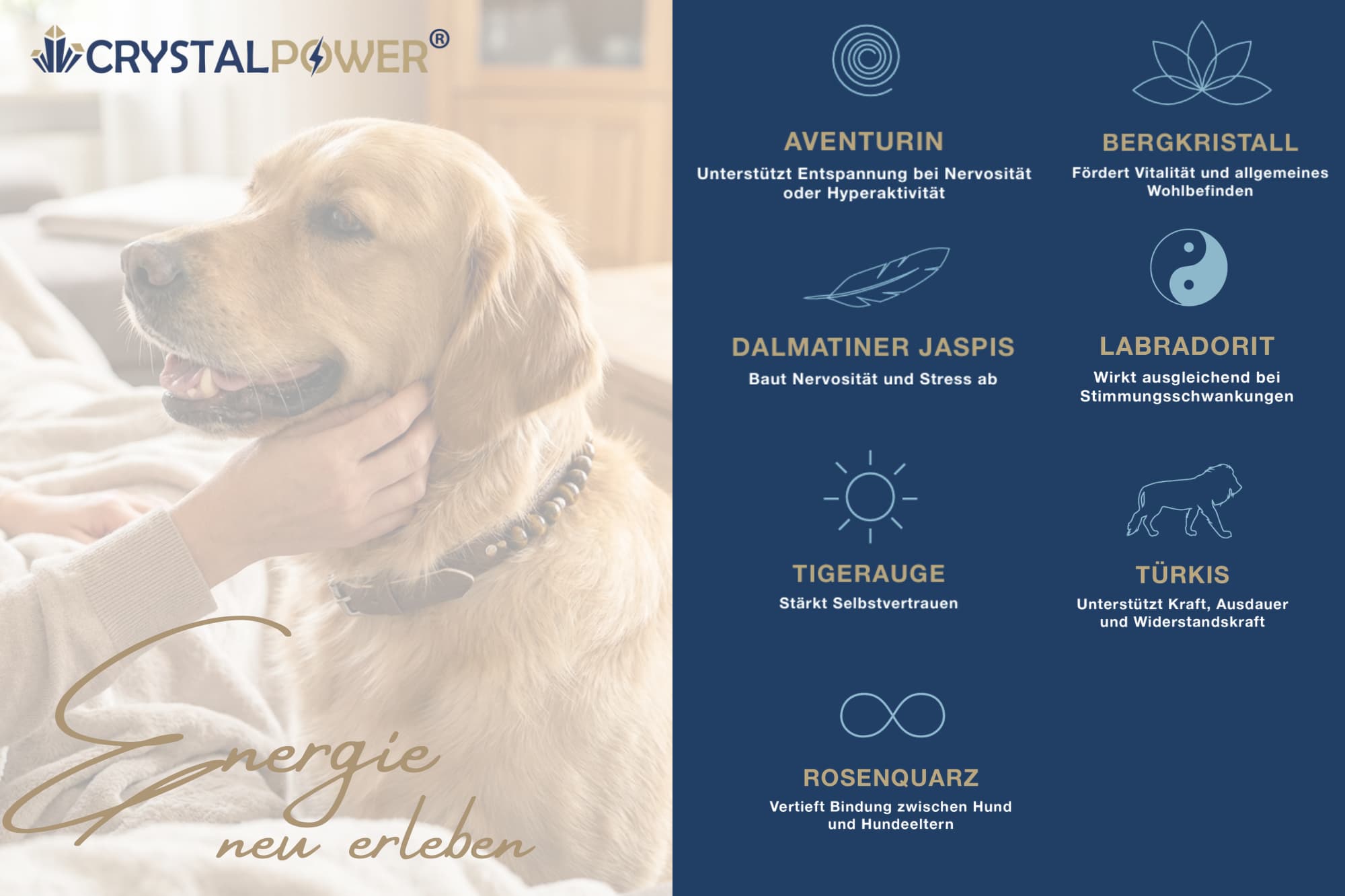 Heilsteinwirkung auf Hunde