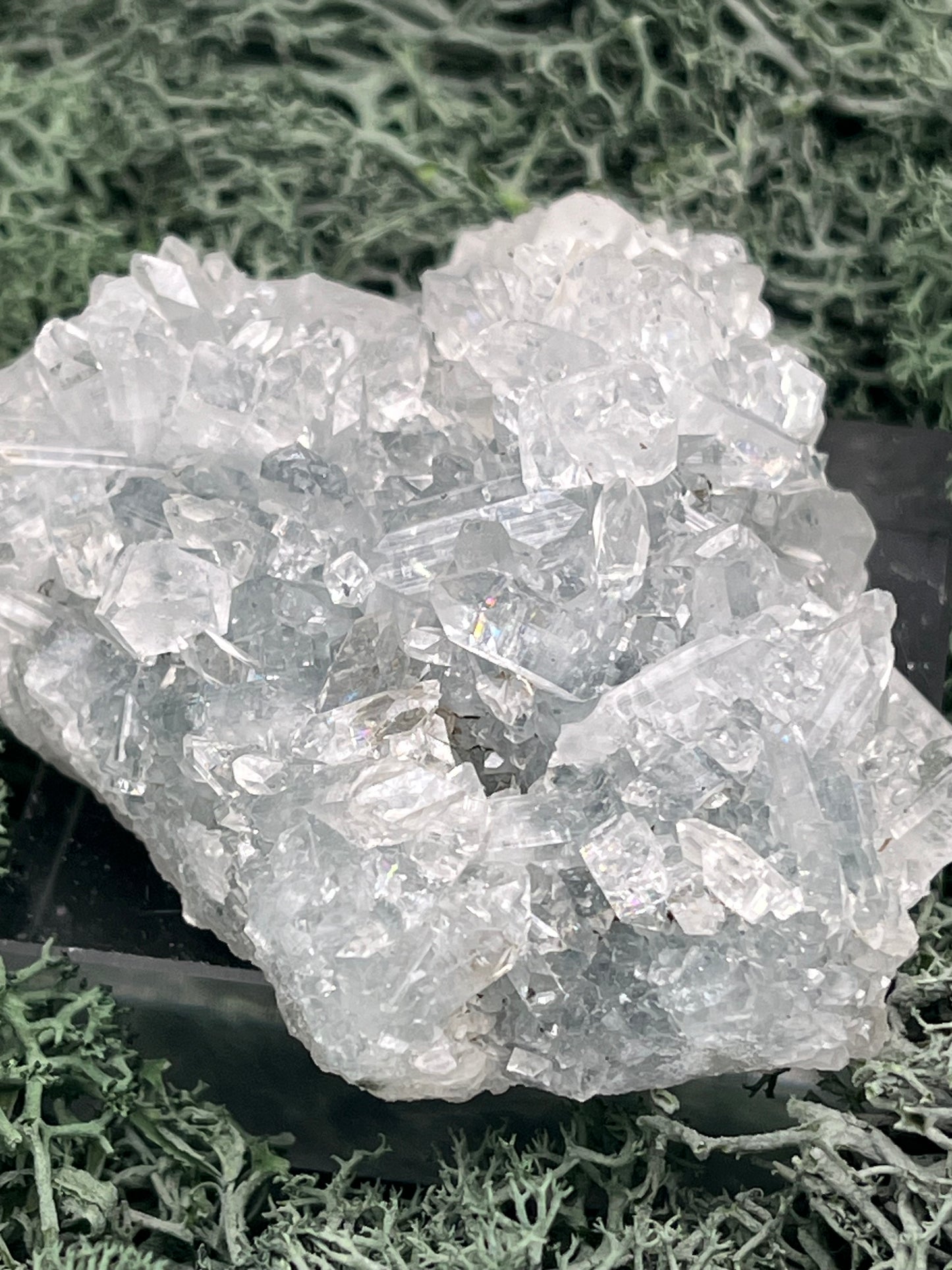 Apophyllit Stufe aus Indien (91g) - schöne grosse Kristalle - crystal paradise