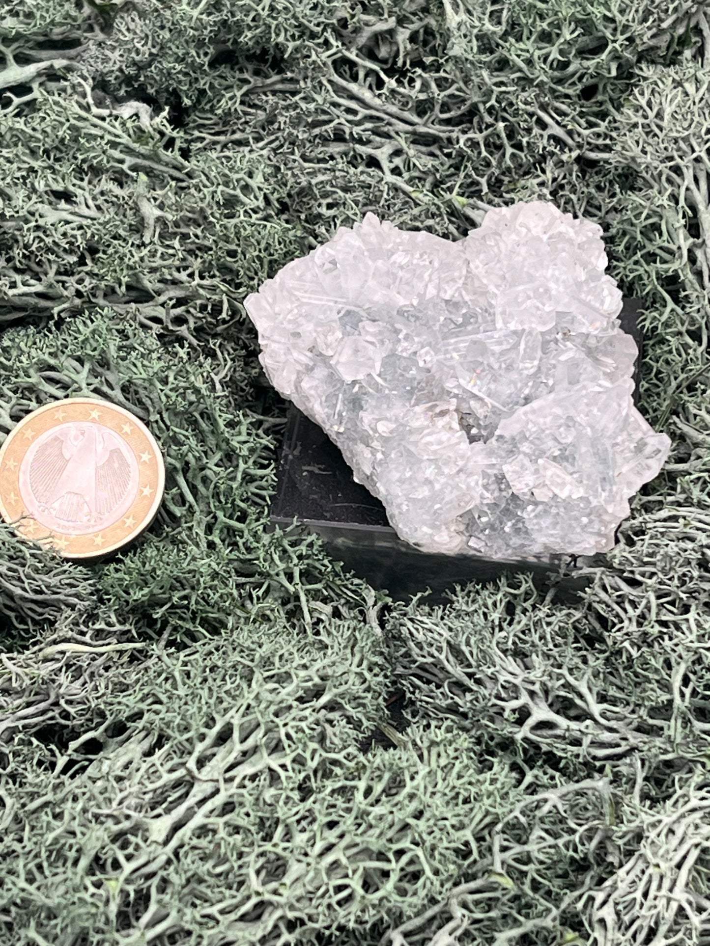 Apophyllit Stufe aus Indien (91g) - schöne grosse Kristalle - crystal paradise