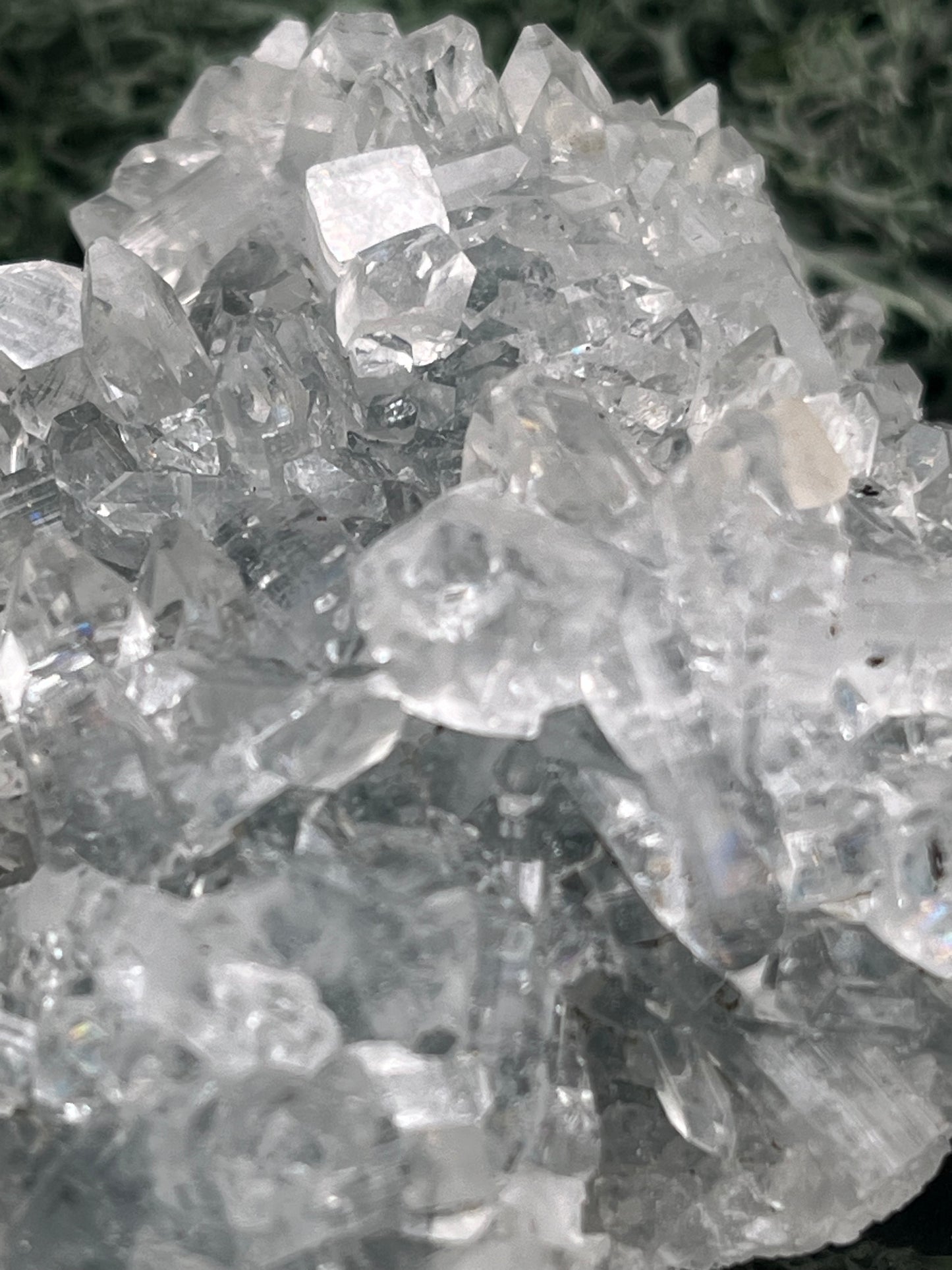 Apophyllit Stufe aus Indien (91g) - schöne grosse Kristalle - crystal paradise