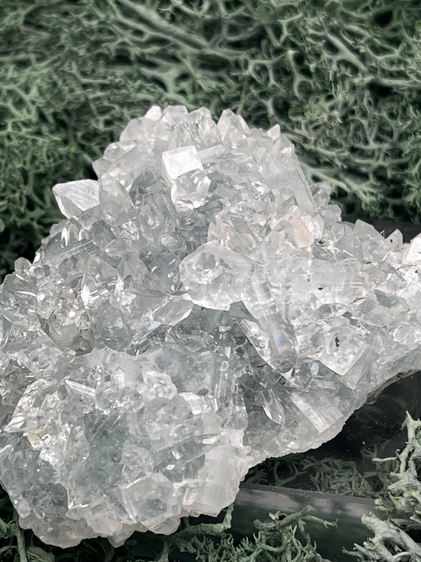 Apophyllit Stufe aus Indien (91g) - schöne grosse Kristalle - crystal paradise