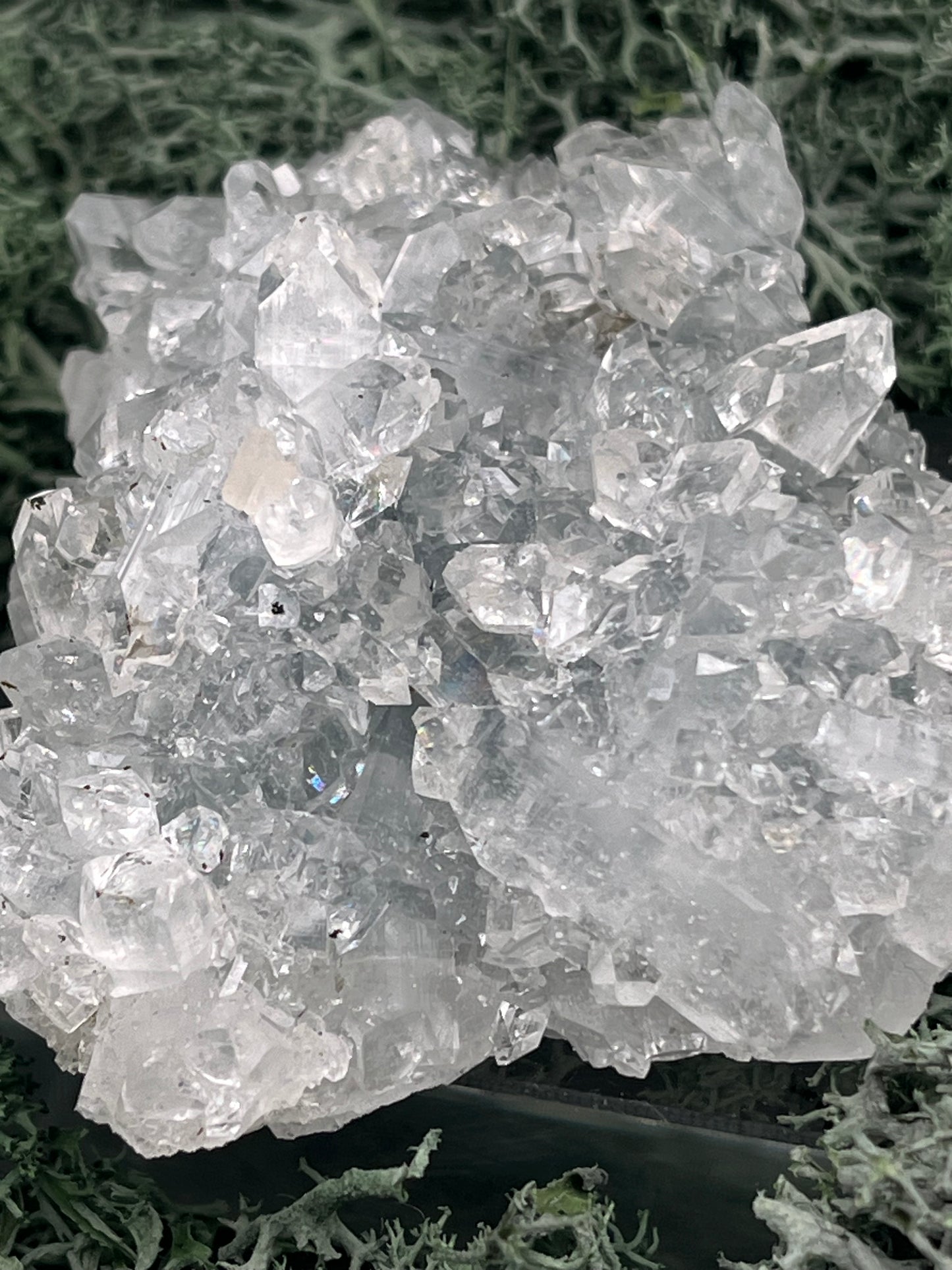 Apophyllit Stufe aus Indien (91g) - schöne grosse Kristalle - crystal paradise