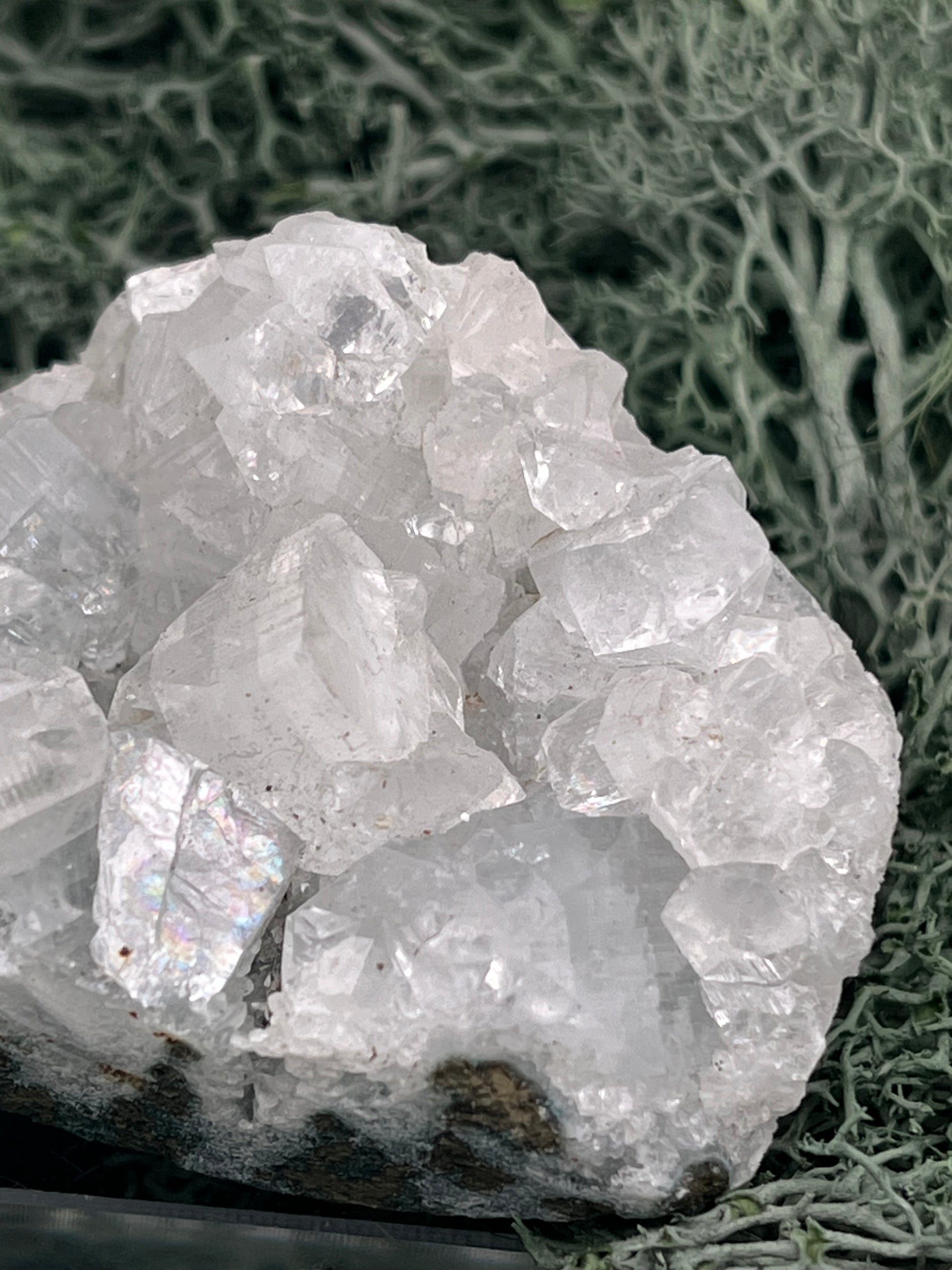 Apophyllit Stufe aus Indien (97g) - schöne grosse Kristalle - crystal paradise