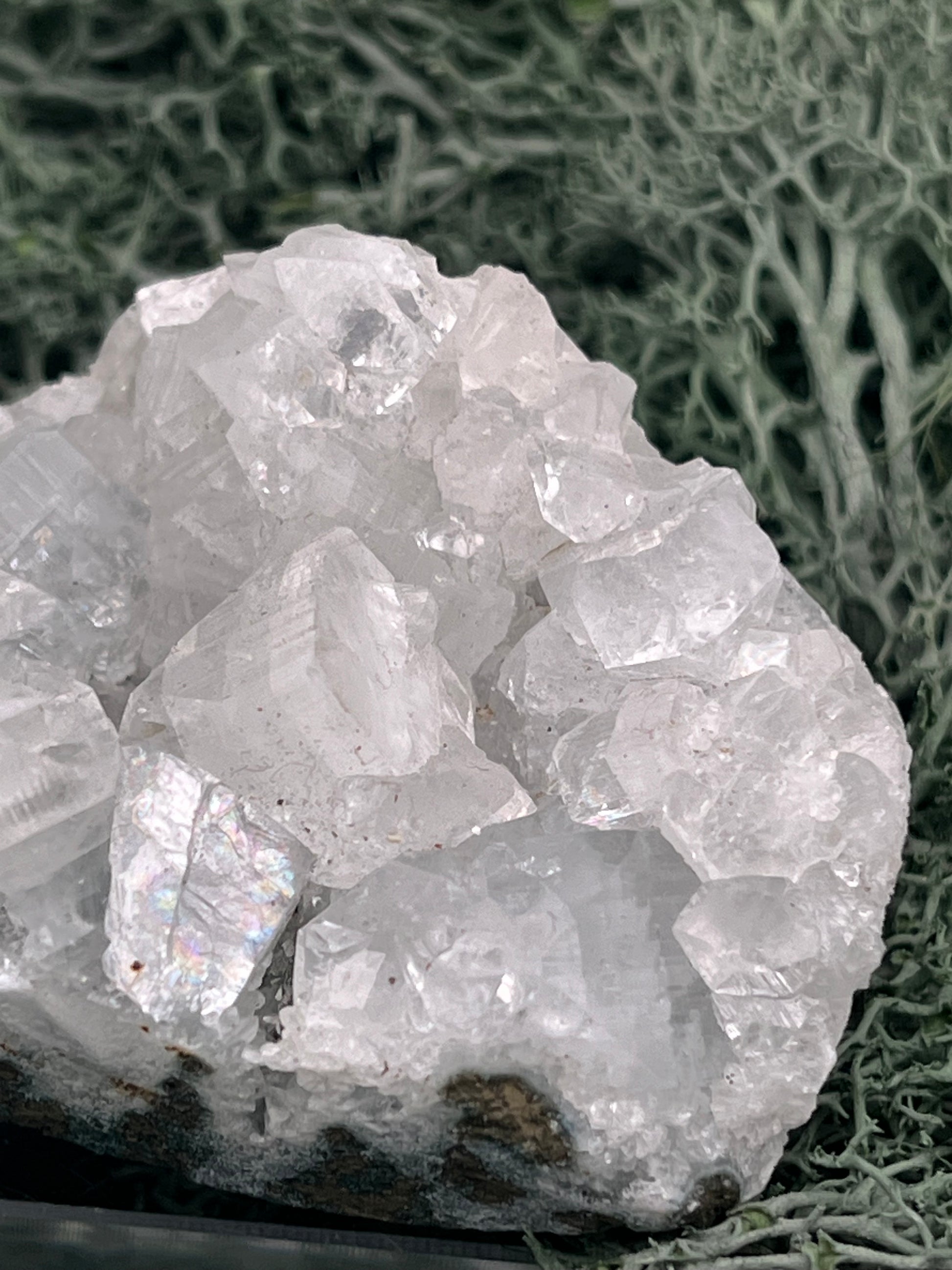 Apophyllit Stufe aus Indien (97g) - schöne grosse Kristalle - crystal paradise