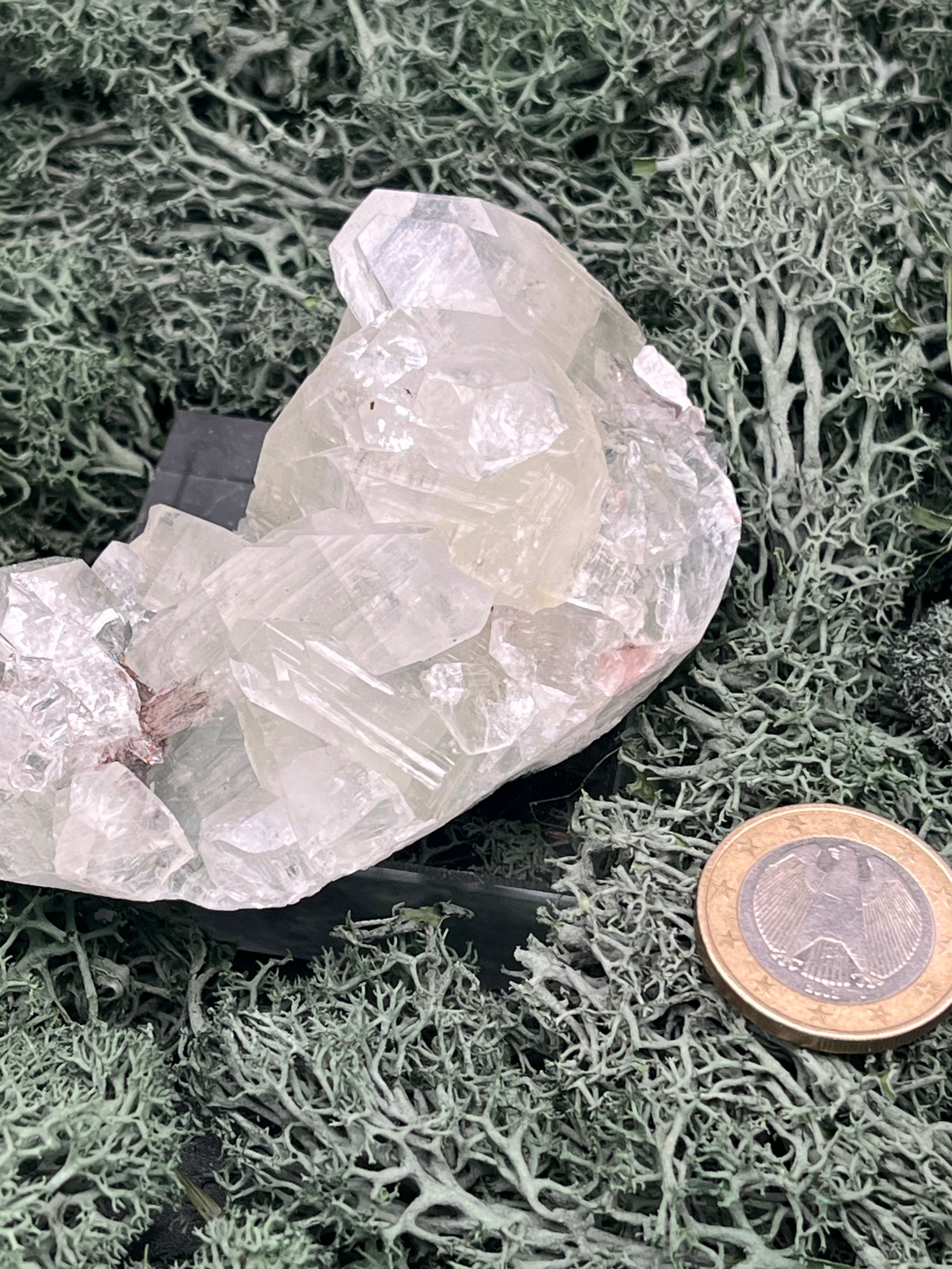 Apophyllit Stufe aus Indien (114g) - schöne grosse Kristalle - crystal paradise
