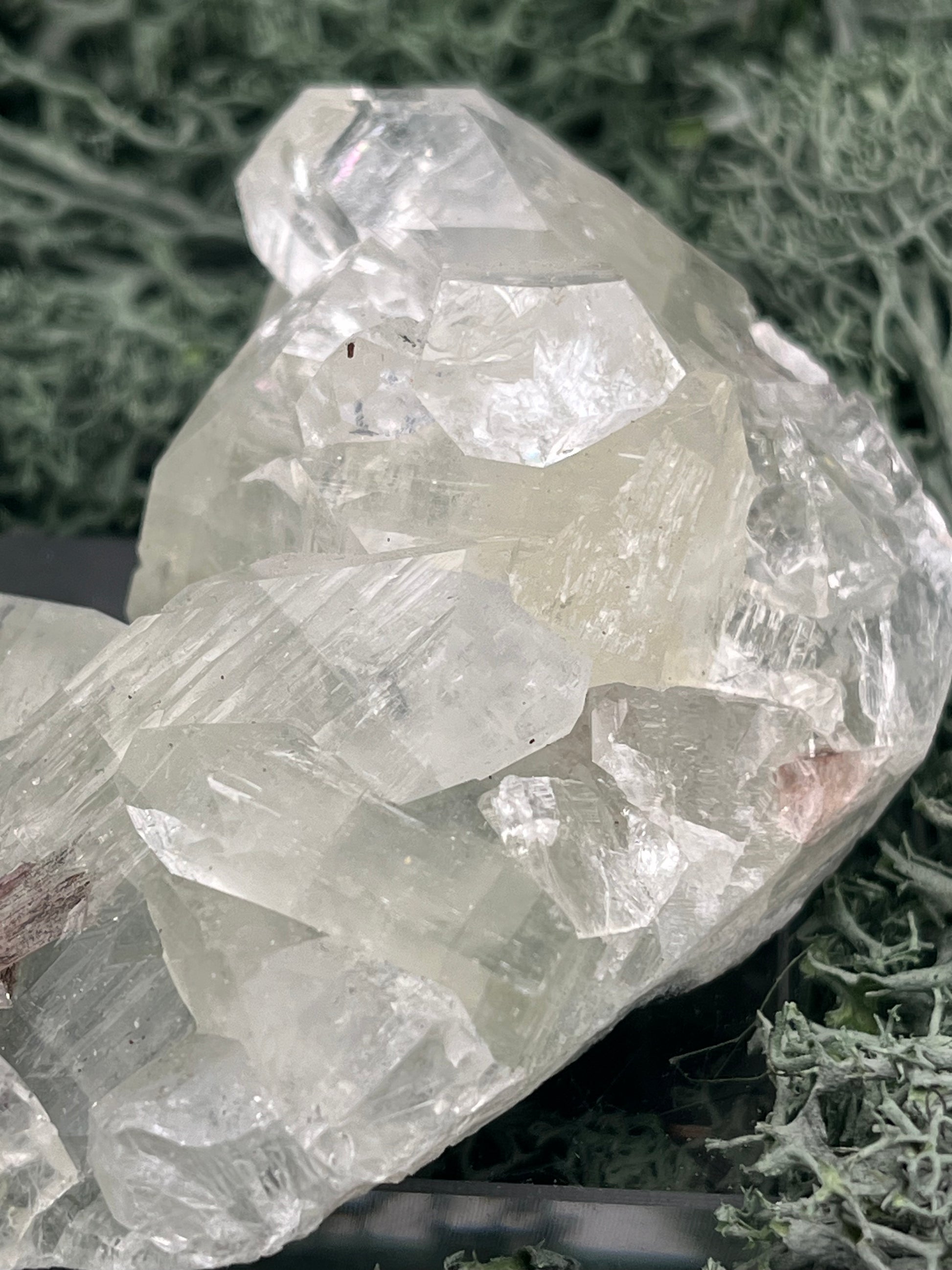 Apophyllit Stufe aus Indien (114g) - schöne grosse Kristalle - crystal paradise