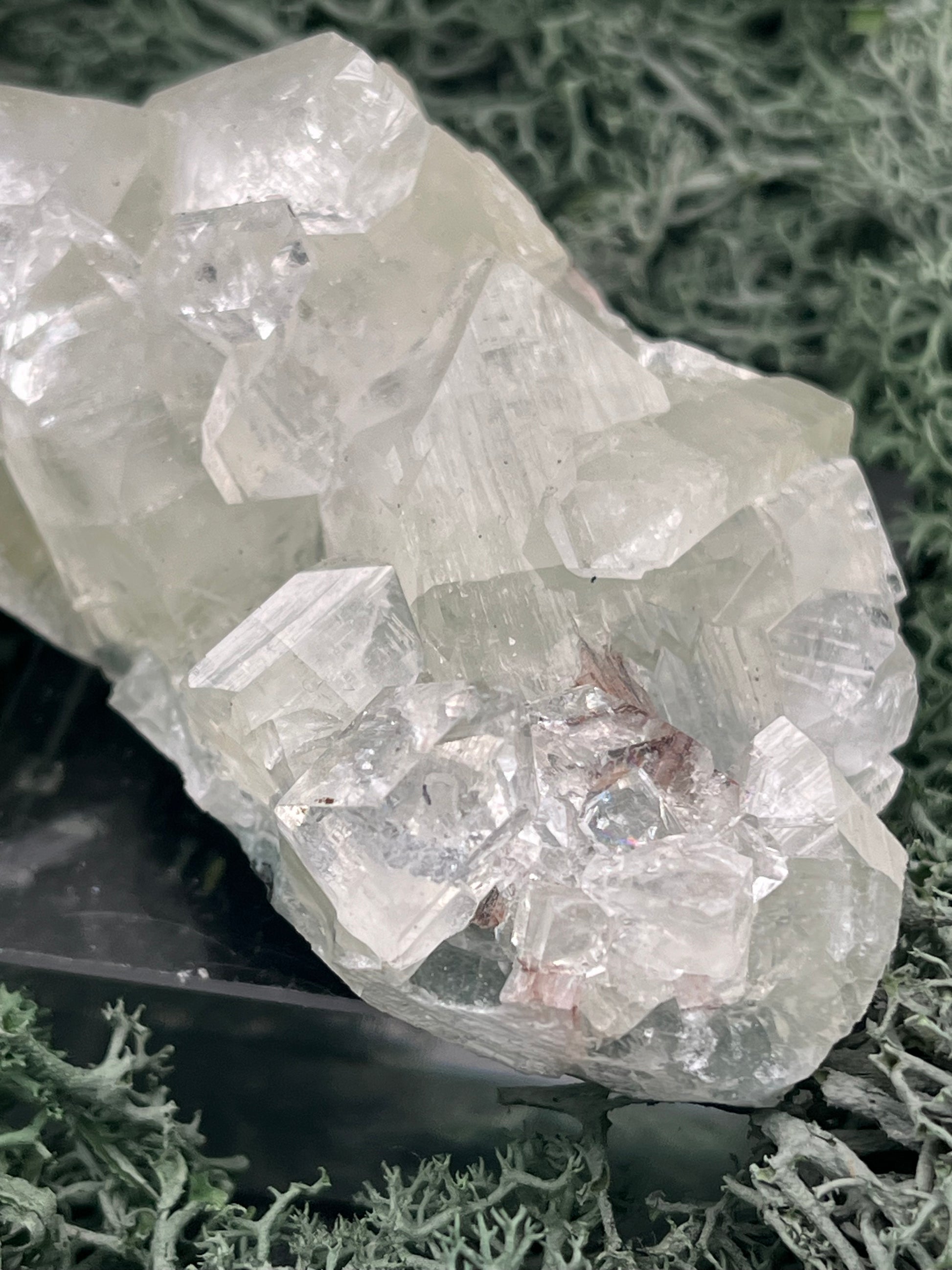 Apophyllit Stufe aus Indien (114g) - schöne grosse Kristalle - crystal paradise