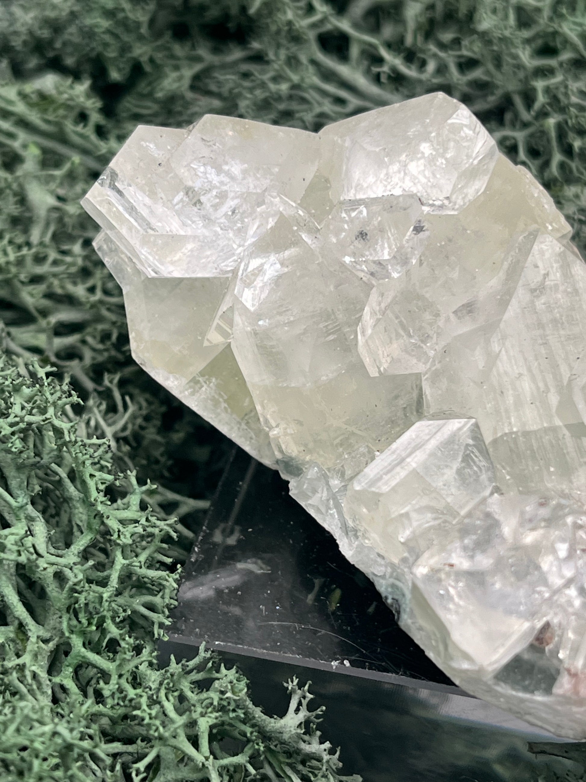 Apophyllit Stufe aus Indien (114g) - schöne grosse Kristalle - crystal paradise