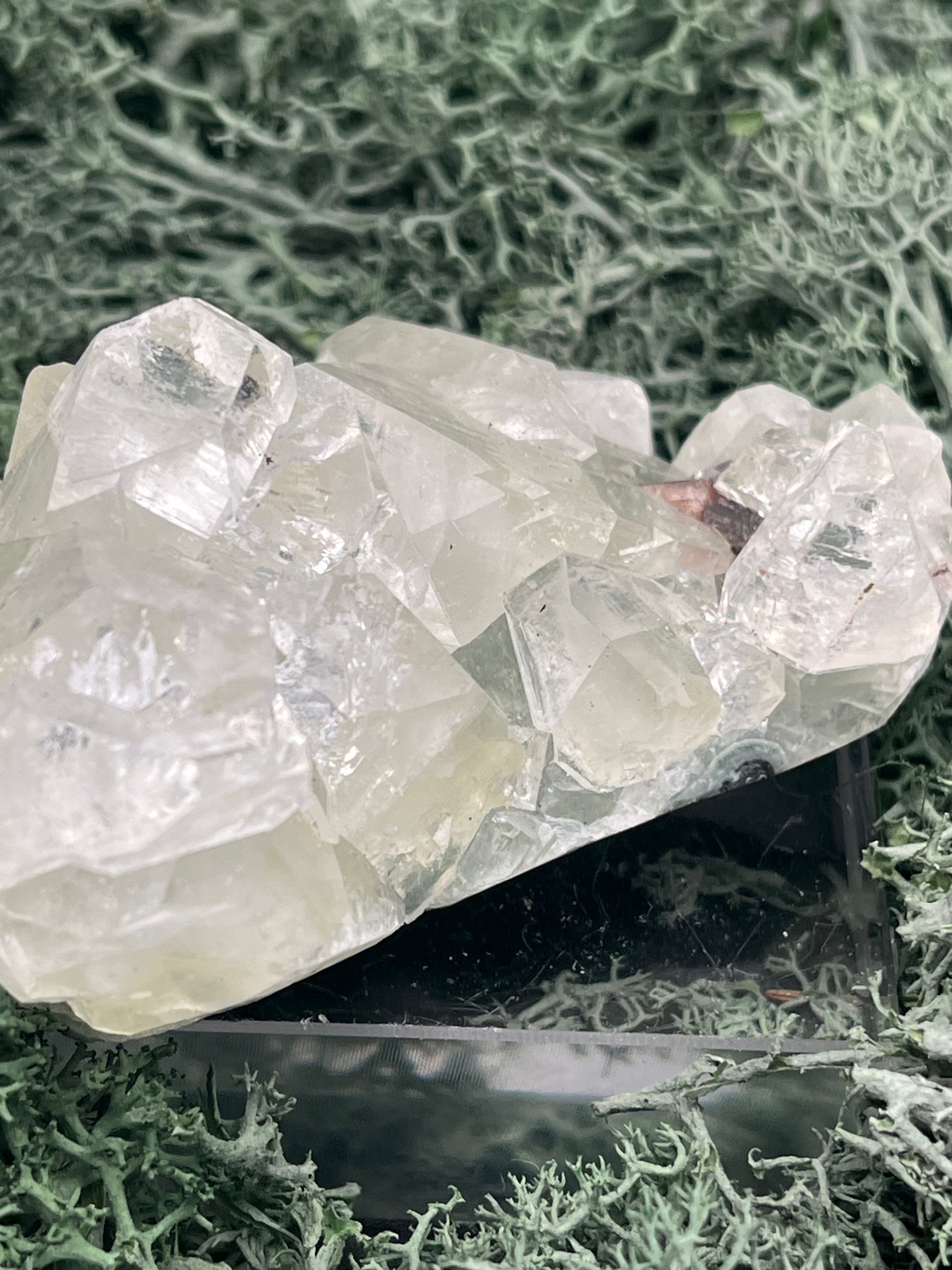 Apophyllit Stufe aus Indien (114g) - schöne grosse Kristalle - crystal paradise