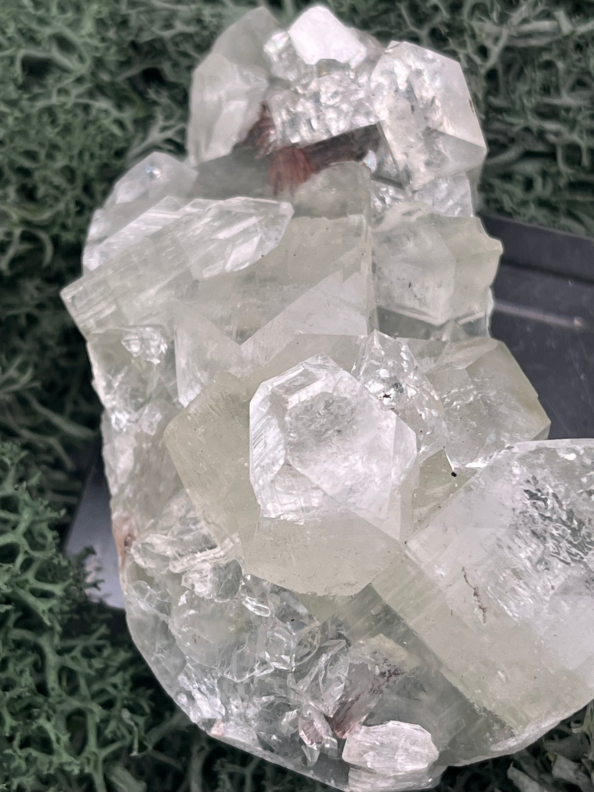 Apophyllit Stufe aus Indien (114g) - schöne grosse Kristalle - crystal paradise